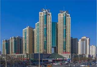 黑龙江皮囊式蓄能器型号